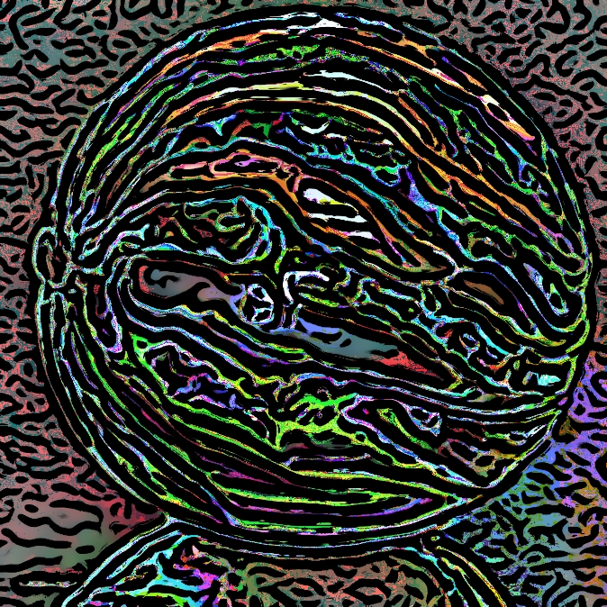 Vincent_kulicky3