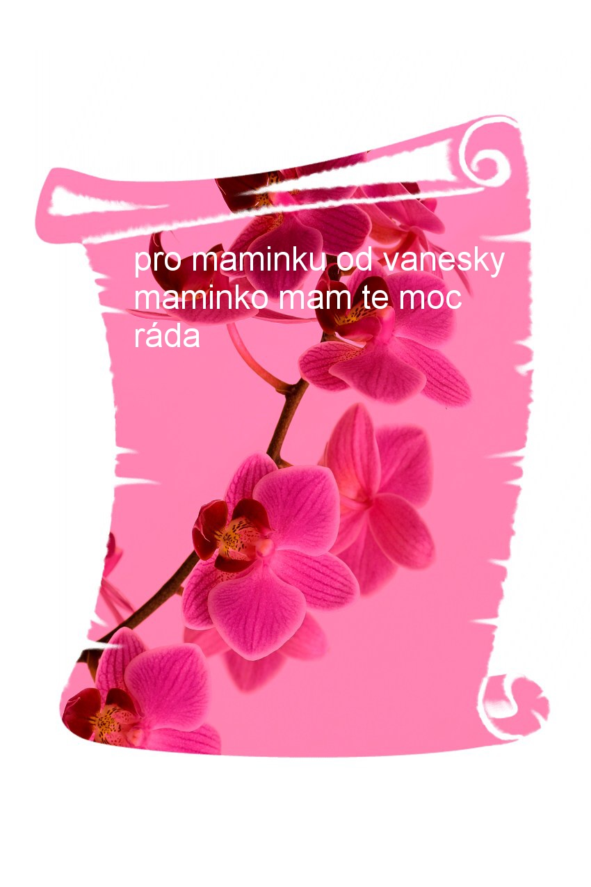 vaneska kerle orchydej 5