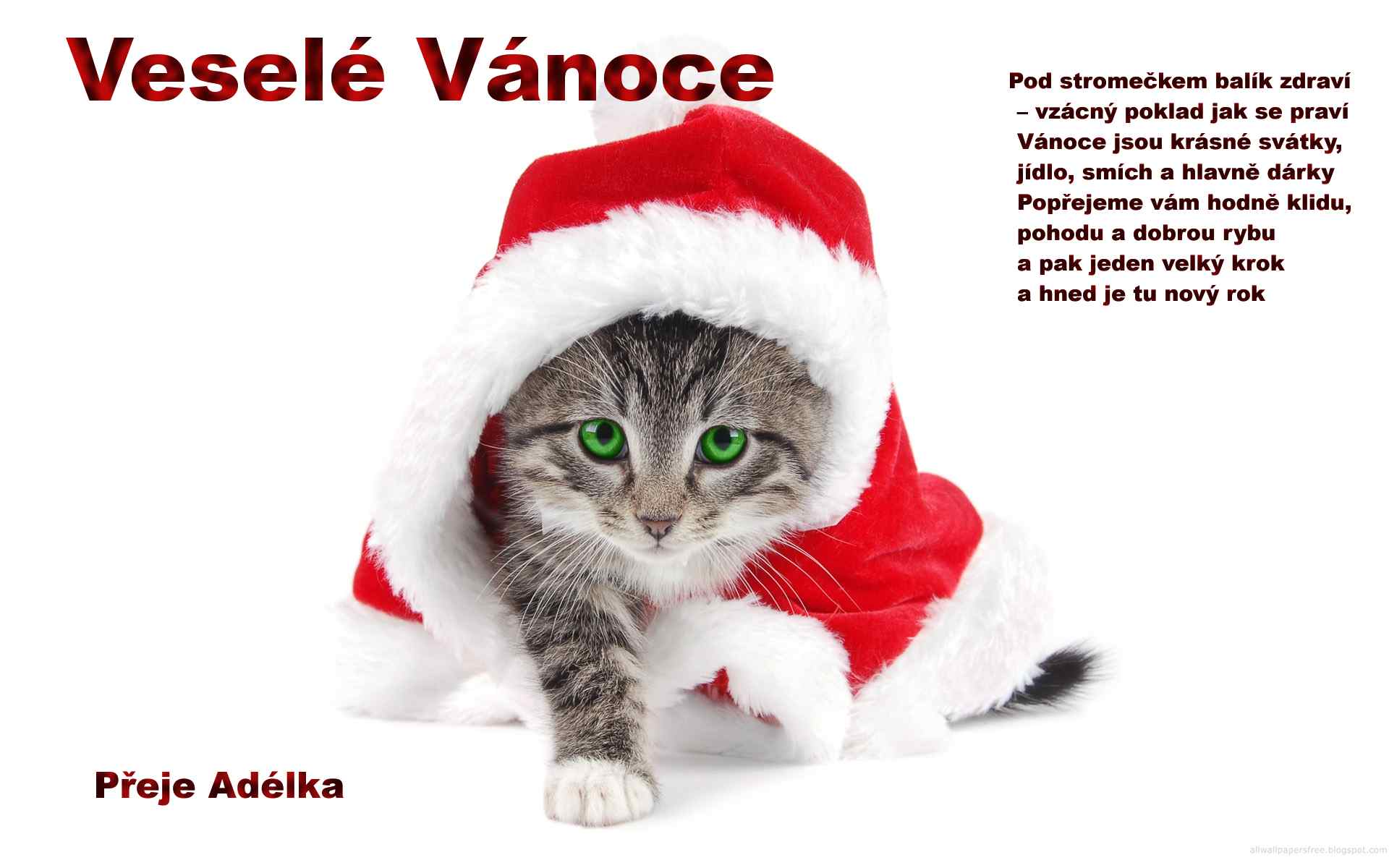 adelka s vánoční přání2