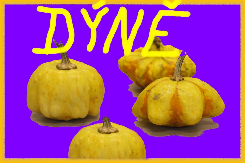 eliska dyne 7
