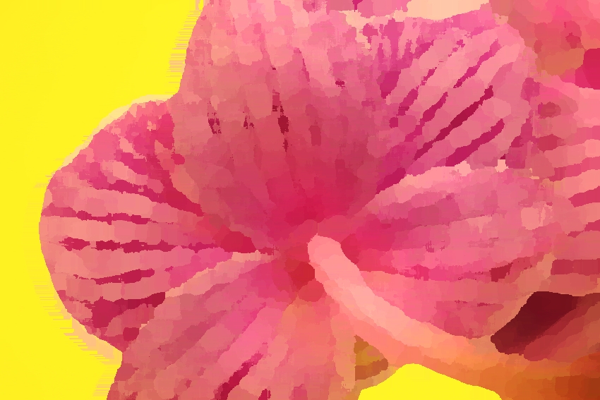 ESTER orchidej 5