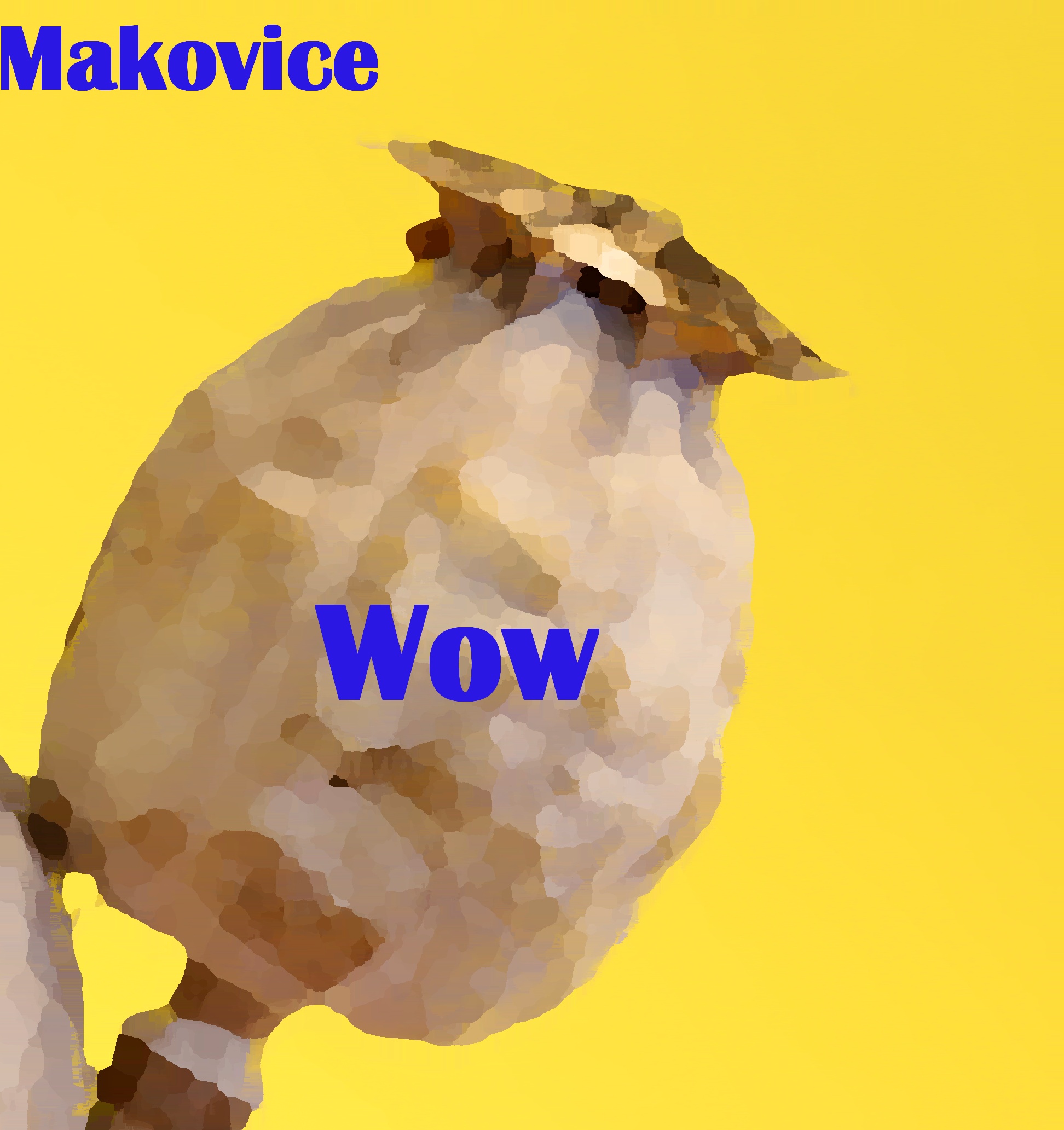 Ondra k MAKOVICE 5