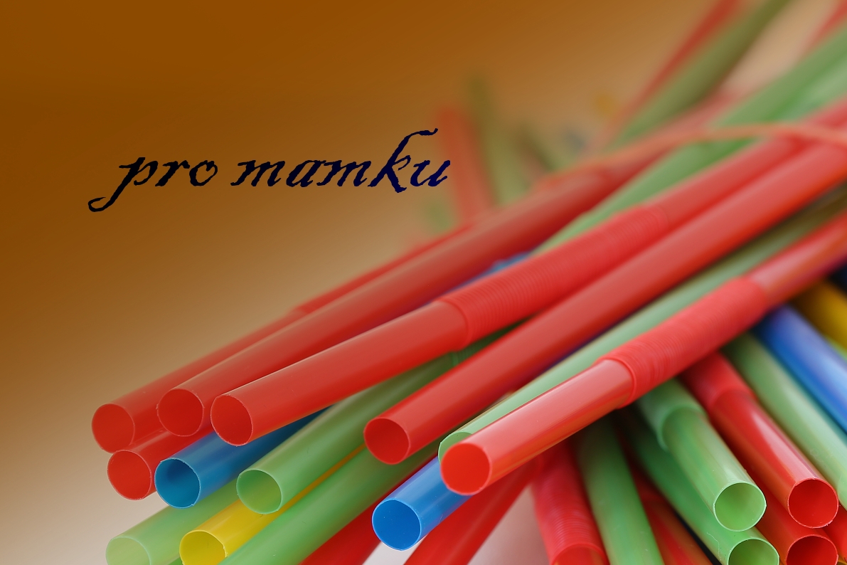 anicka s brčka 3