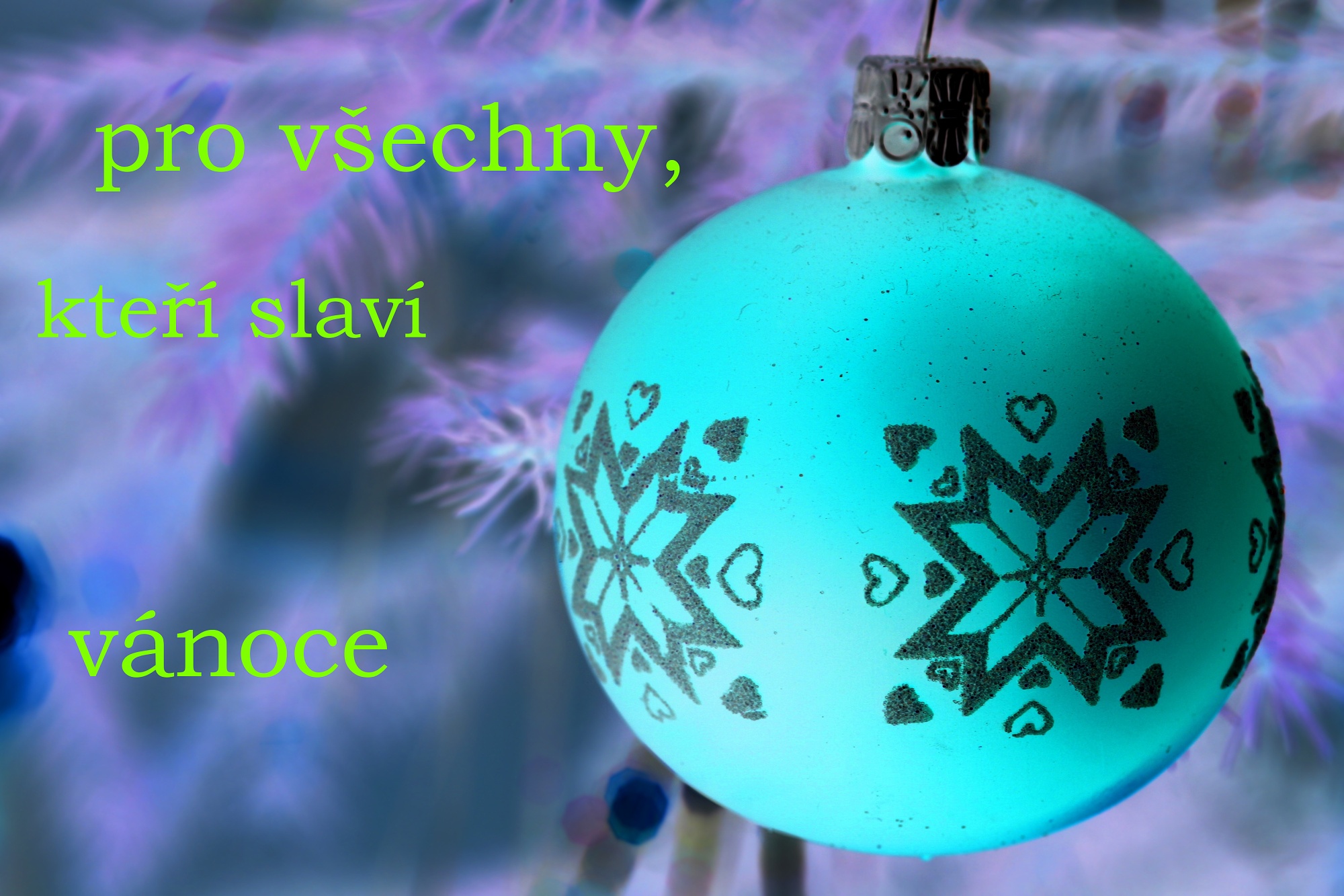 anička s vánoce 5
