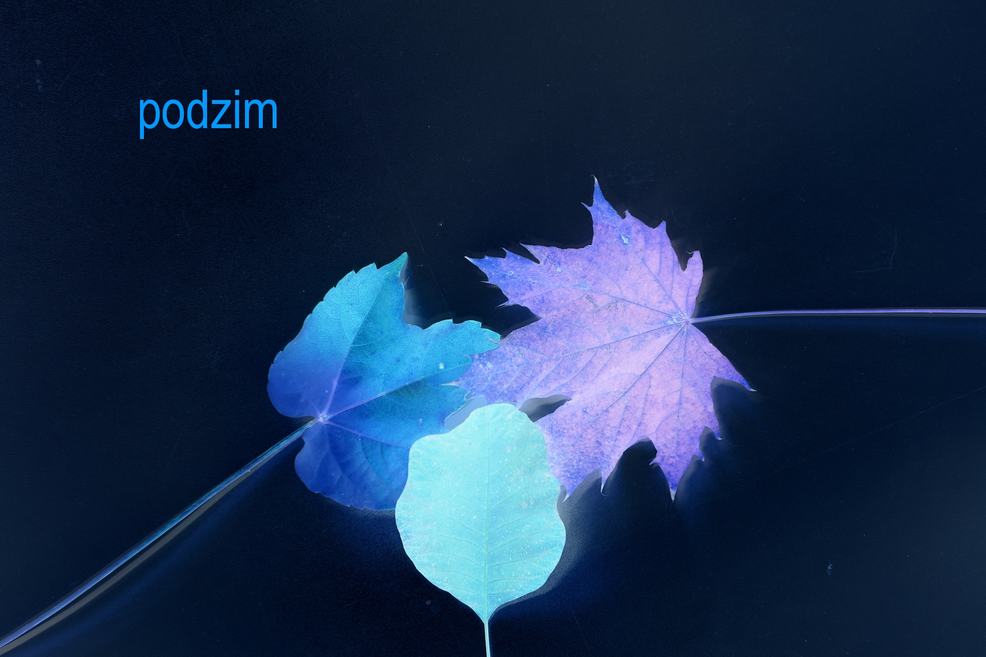 Anička S. podzim 3