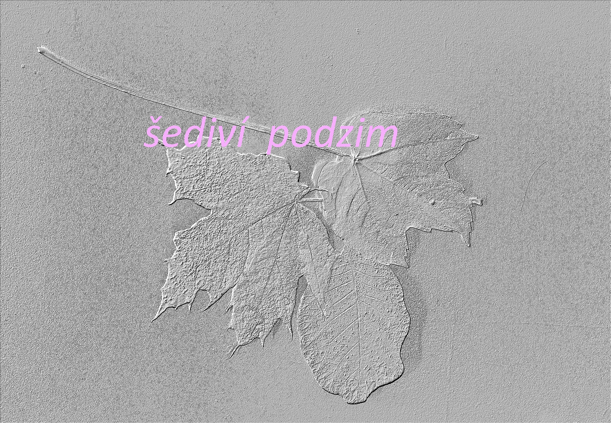 Emma P. podzim 2
