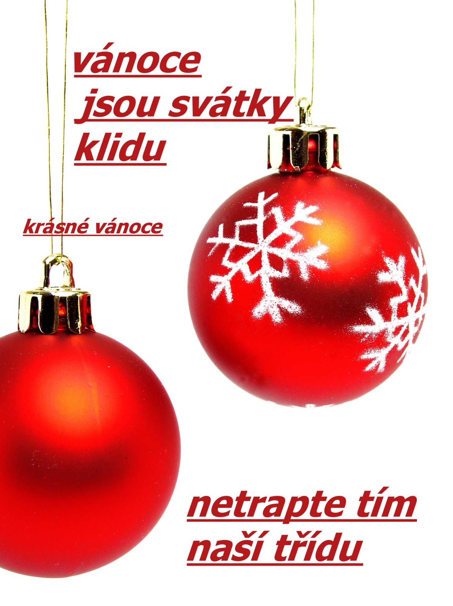 rozálie vánoce 4