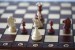 David L. šachy 7