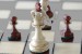 David L. šachy 8